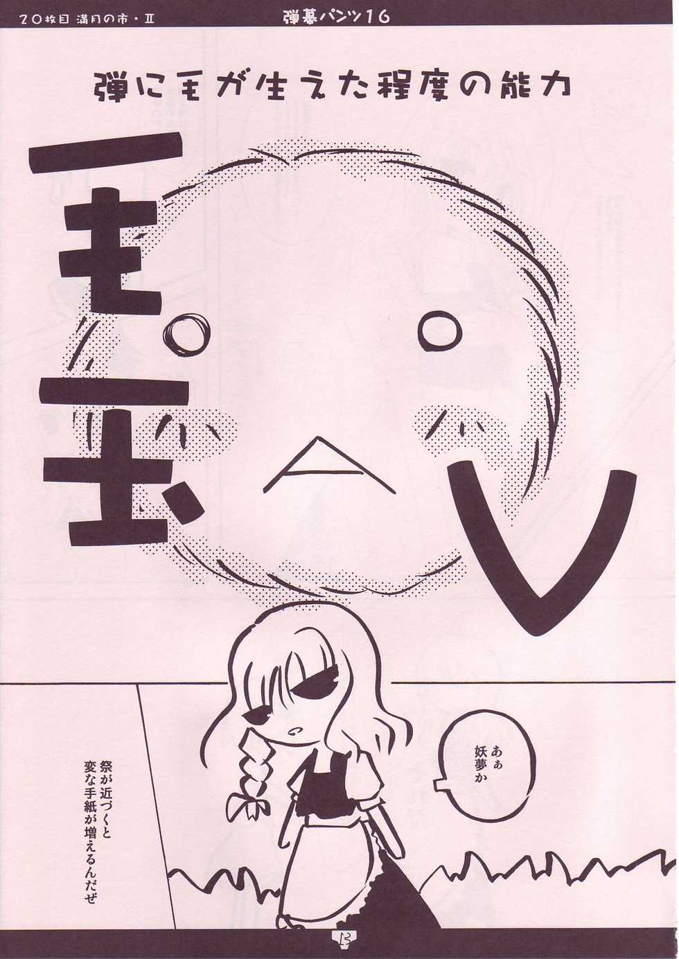 [Libertte] Danmaku-Pants 16 ( Touhou Project ) - Page 12