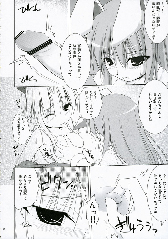 Touhou Hentai Doujinshi