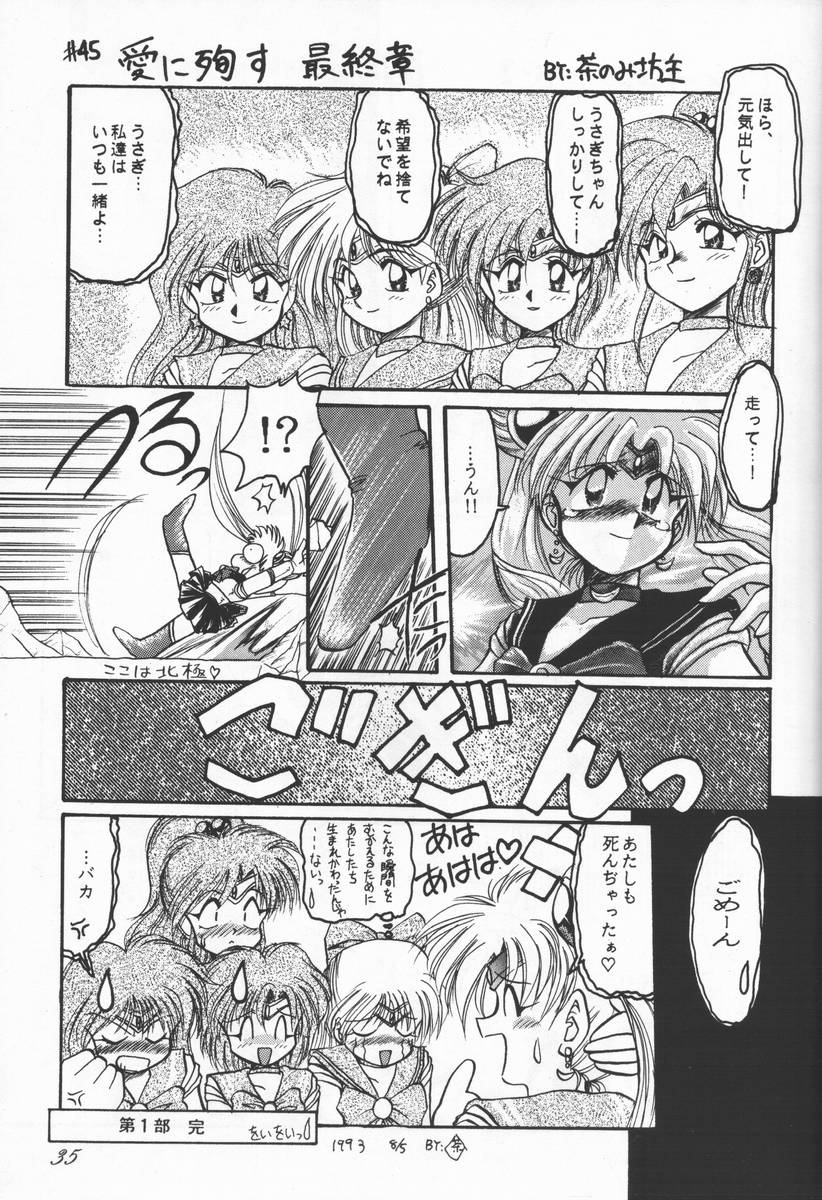 (C44) [CHA-CHA GUMI (CHA know-me DO-JI, Ryuunosuke)] Bishoujo Senshi Sailor Moon no Mon (Sailor Moon) - Page 34