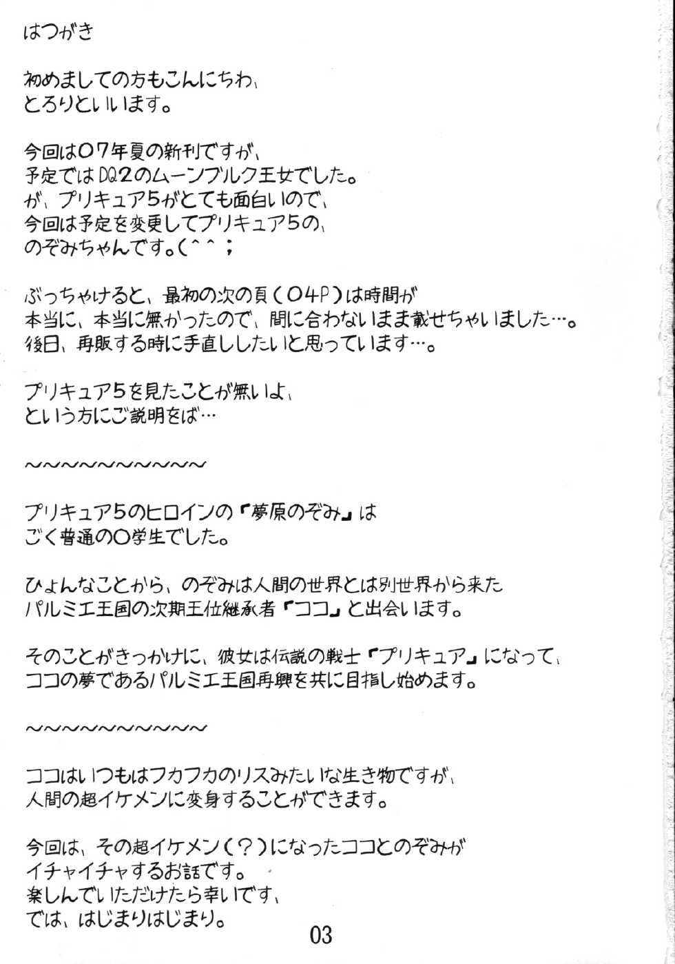 [Tololinco (Tololi)] Nozomi to Issho! | With Nozomi! (Yes! Precure 5) [English] [Fated Circle] - Page 2