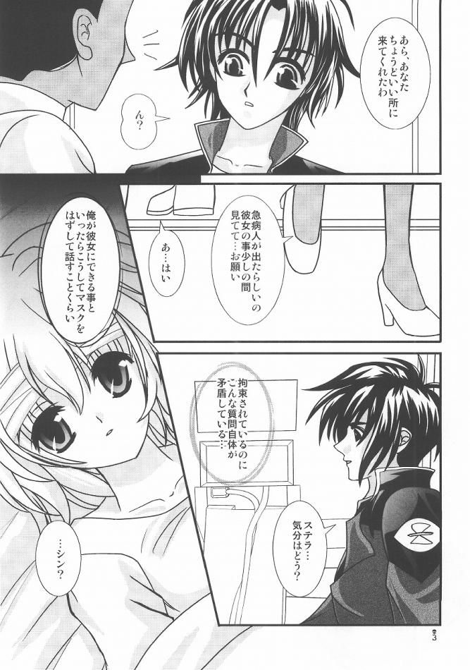 (C68) [PISCES (Hinase Kazusa)] You're My Only Shinin' Star (Gundam Seed Destiny) - Page 3