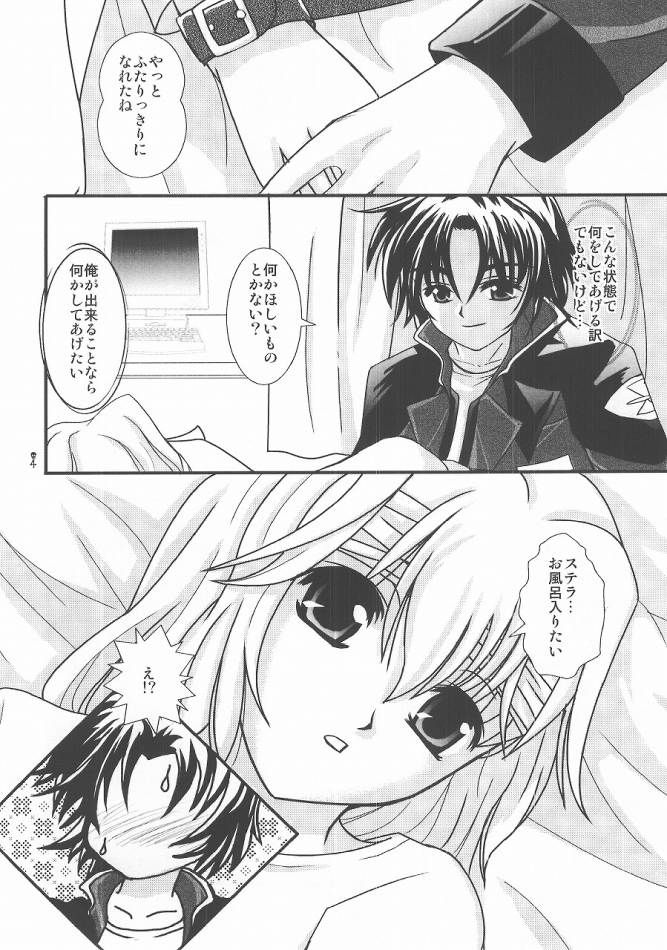 (C68) [PISCES (Hinase Kazusa)] You're My Only Shinin' Star (Gundam Seed Destiny) - Page 4