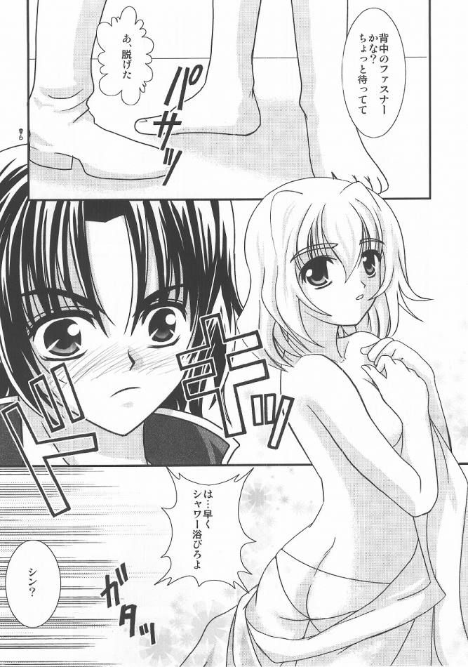(C68) [PISCES (Hinase Kazusa)] You're My Only Shinin' Star (Gundam Seed Destiny) - Page 6