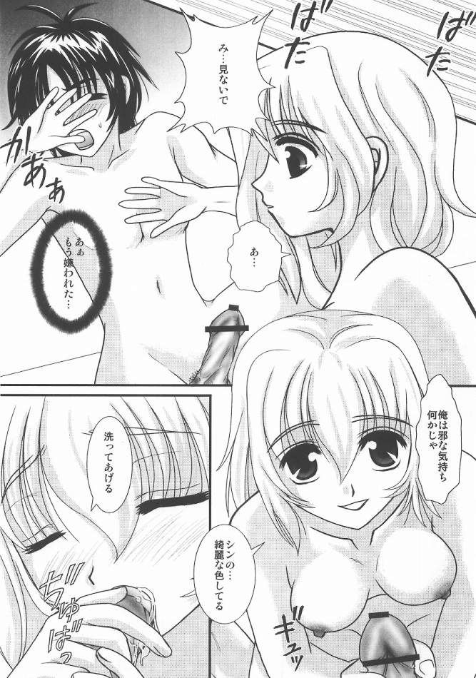 (C68) [PISCES (Hinase Kazusa)] You're My Only Shinin' Star (Gundam Seed Destiny) - Page 9
