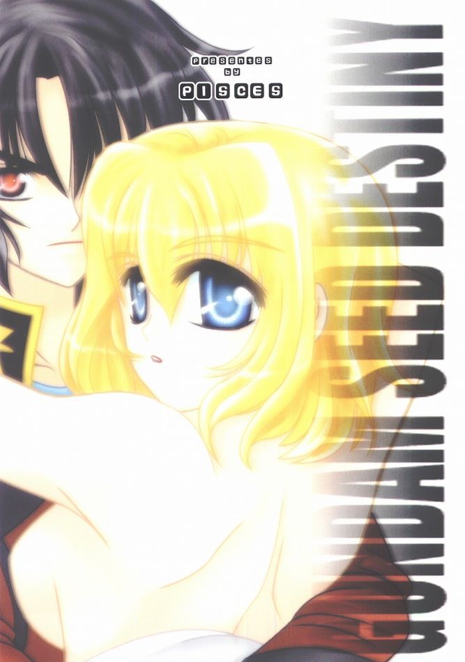 (C68) [PISCES (Hinase Kazusa)] You're My Only Shinin' Star (Gundam Seed Destiny) - Page 27