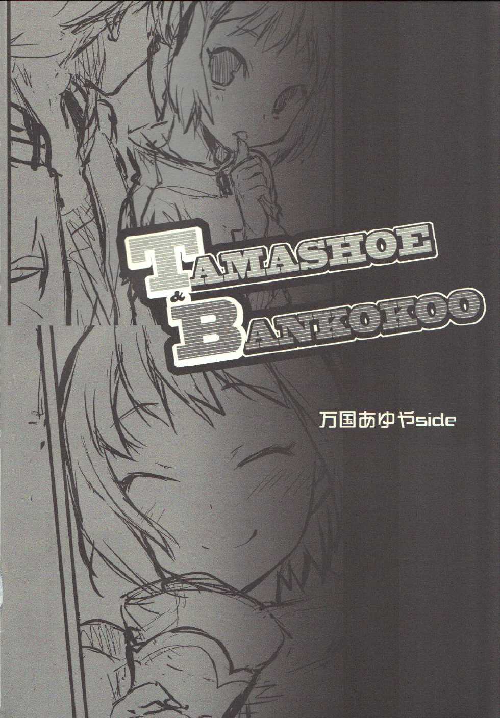 (C80) [Samoyedest, Tamashu (Bankoku Ayuya, Ohkami Ryosuke)] TAMASHOE&BANKOKOO (TIGER & BUNNY) - Page 3