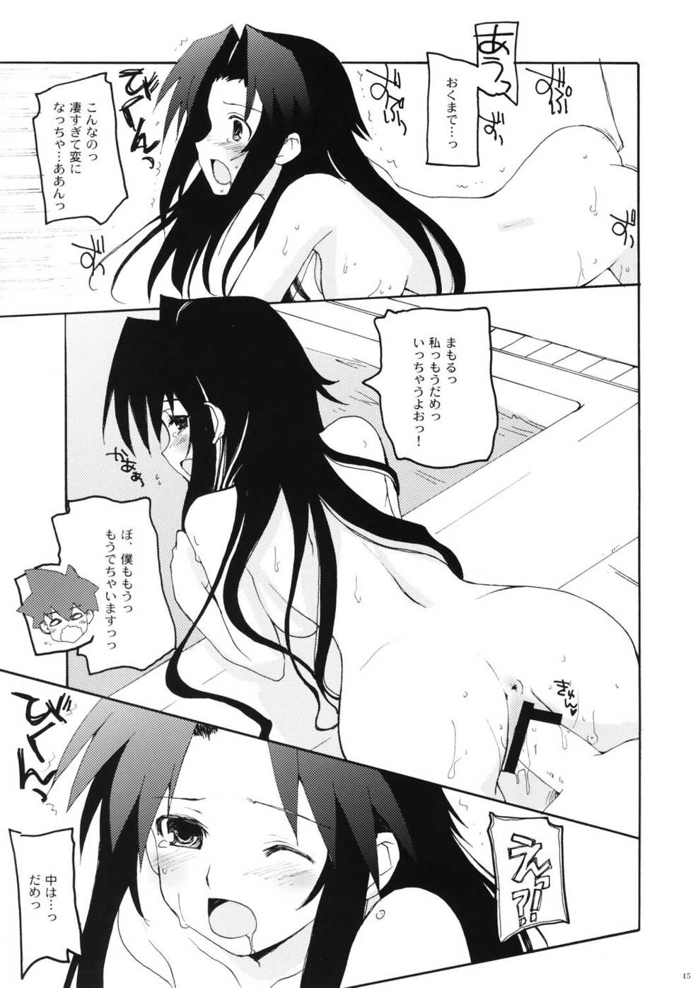 (C71) [Hachiouji Kaipan Totsugeki Kiheitai (Makita Yoshiharu)] Fool For Your Loving (Mamoru-kun ni Megami no Shukufuku wo!) - Page 14