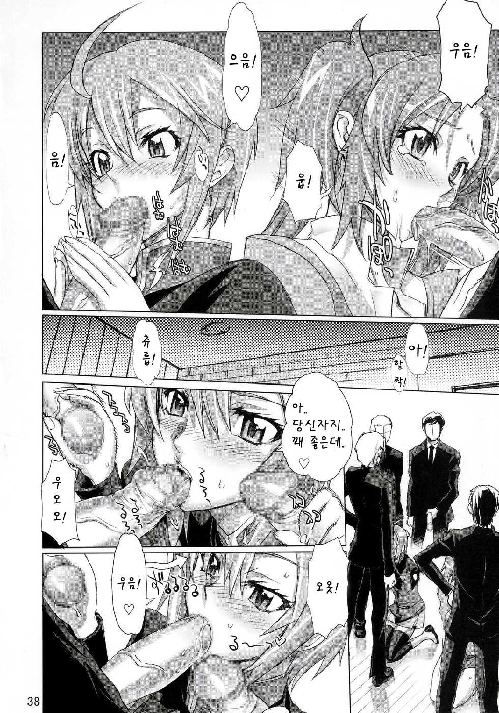 (C69) [Digital Accel Works (INAZUMA.)] INAZUMA WARRIOR 2 (Various) [Korean] - Page 37
