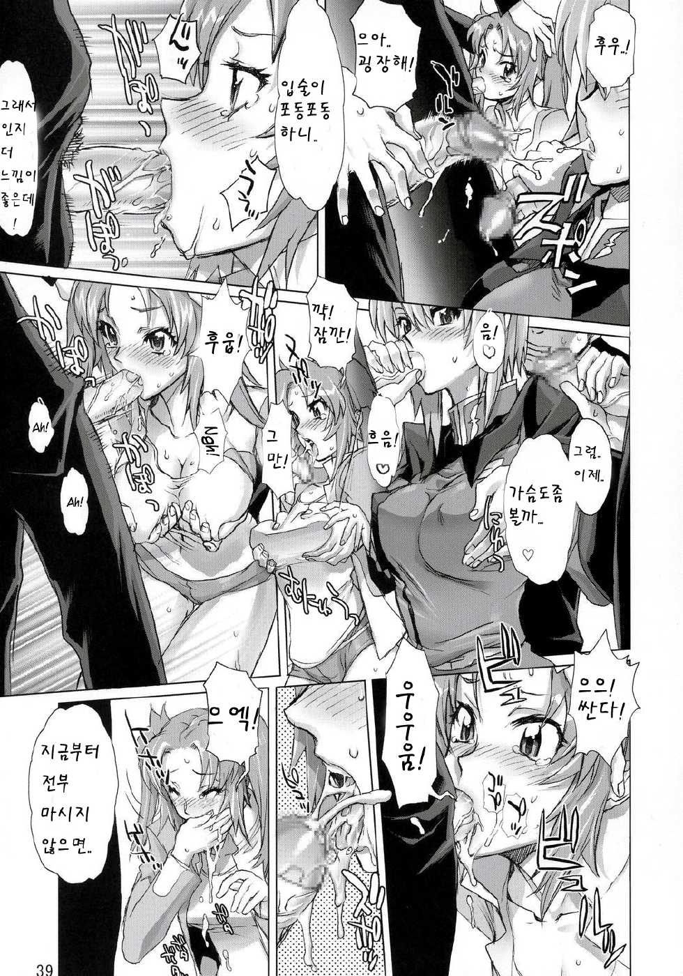 (C69) [Digital Accel Works (INAZUMA.)] INAZUMA WARRIOR 2 (Various) [Korean] - Page 38