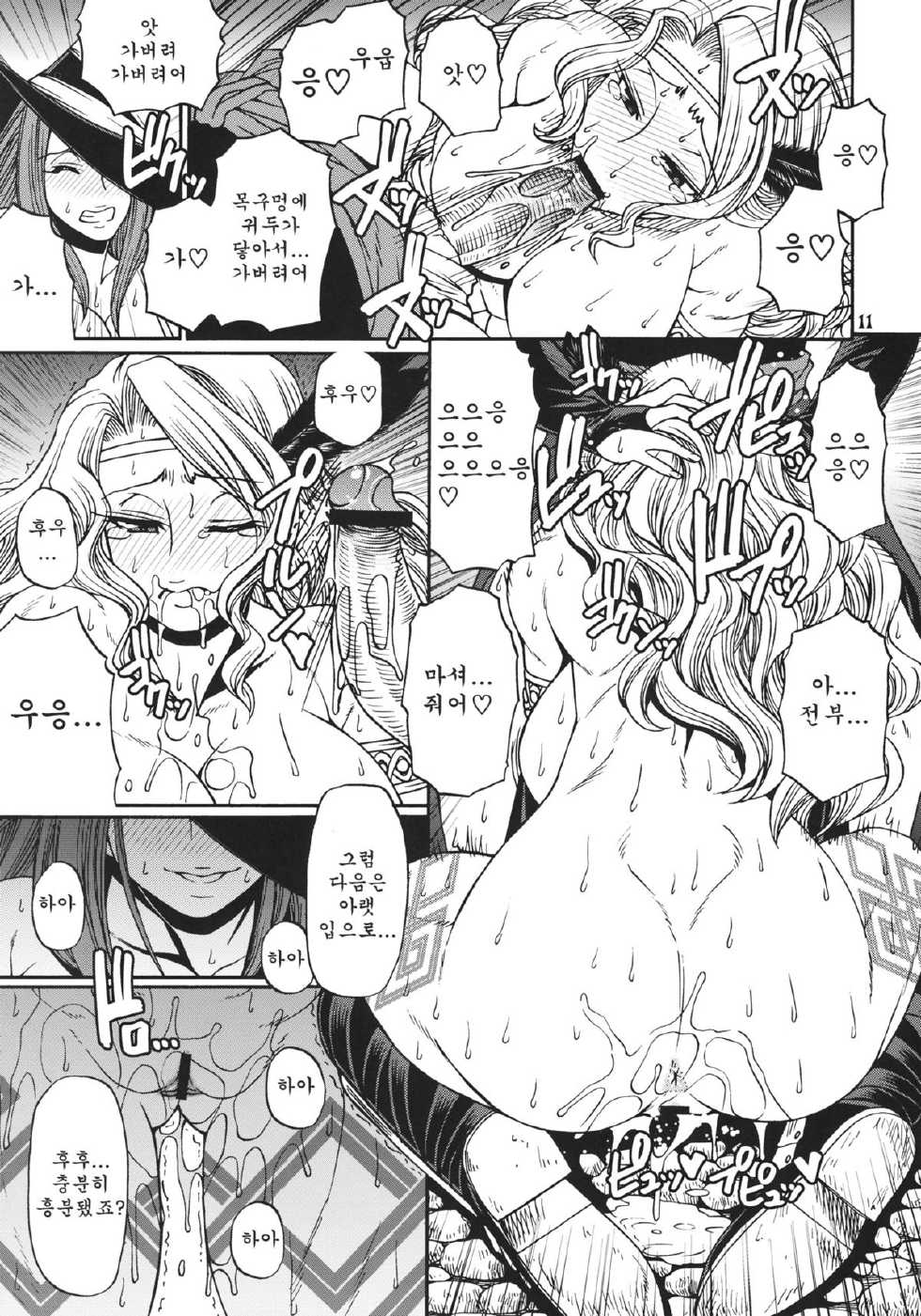 (C80) [CELLULOID-ACME (Chiba Toshirou)] PARTY HARD (Dragon's Crown) [Korean] [Team Arcana] - Page 10