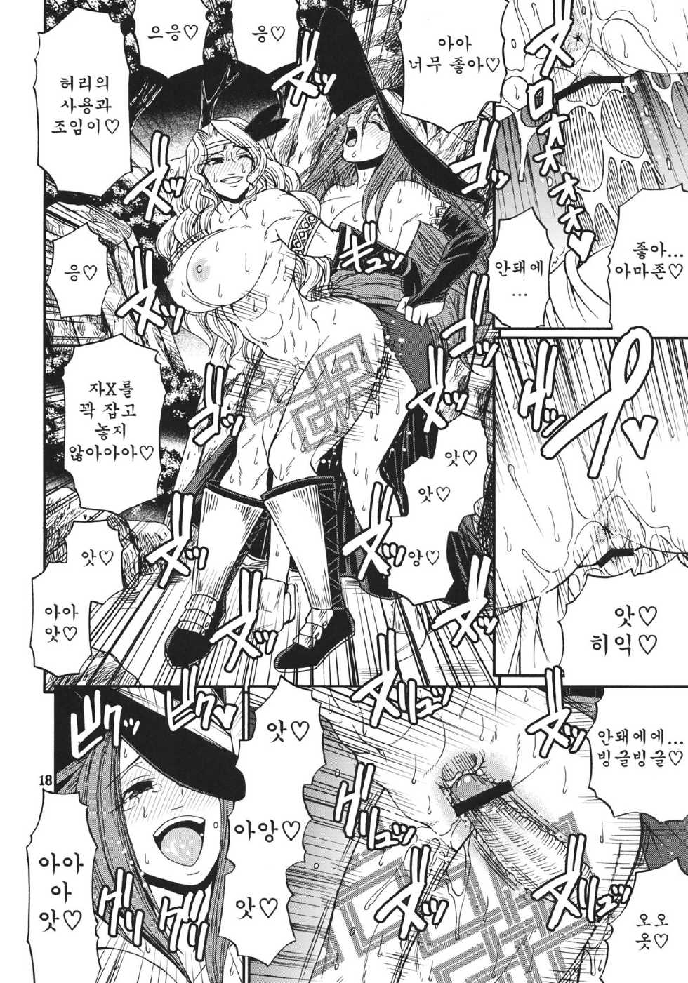 (C80) [CELLULOID-ACME (Chiba Toshirou)] PARTY HARD (Dragon's Crown) [Korean] [Team Arcana] - Page 17