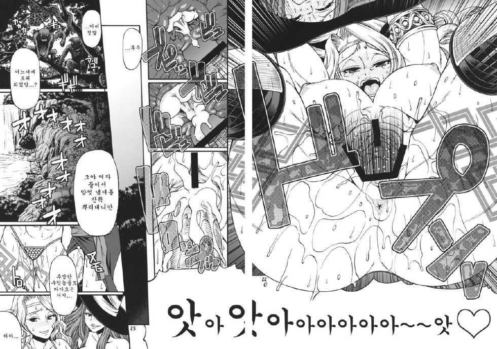 (C80) [CELLULOID-ACME (Chiba Toshirou)] PARTY HARD (Dragon's Crown) [Korean] [Team Arcana] - Page 21