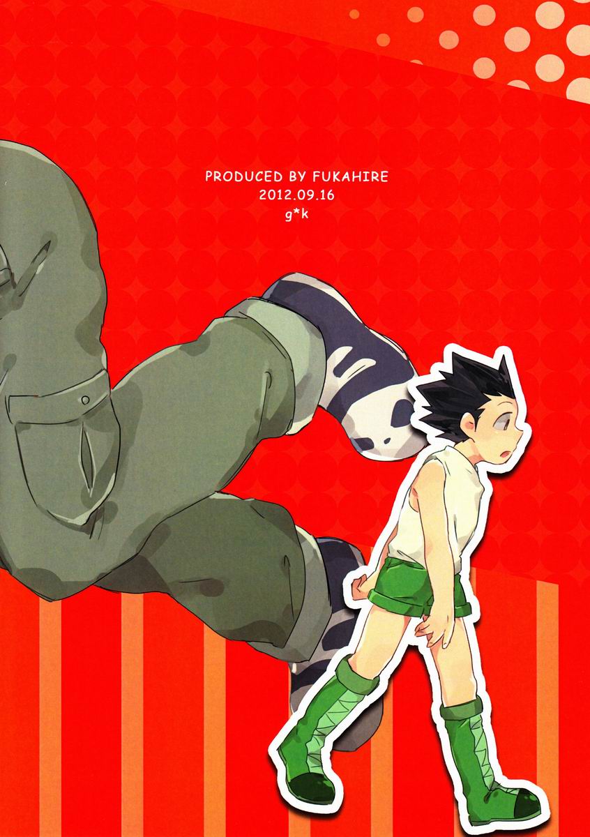 (CLIMAX HUNT 5) [Fukahire (Hekiru)] Rifujin wa Gokigen (Hunter x Hunter) - Page 26