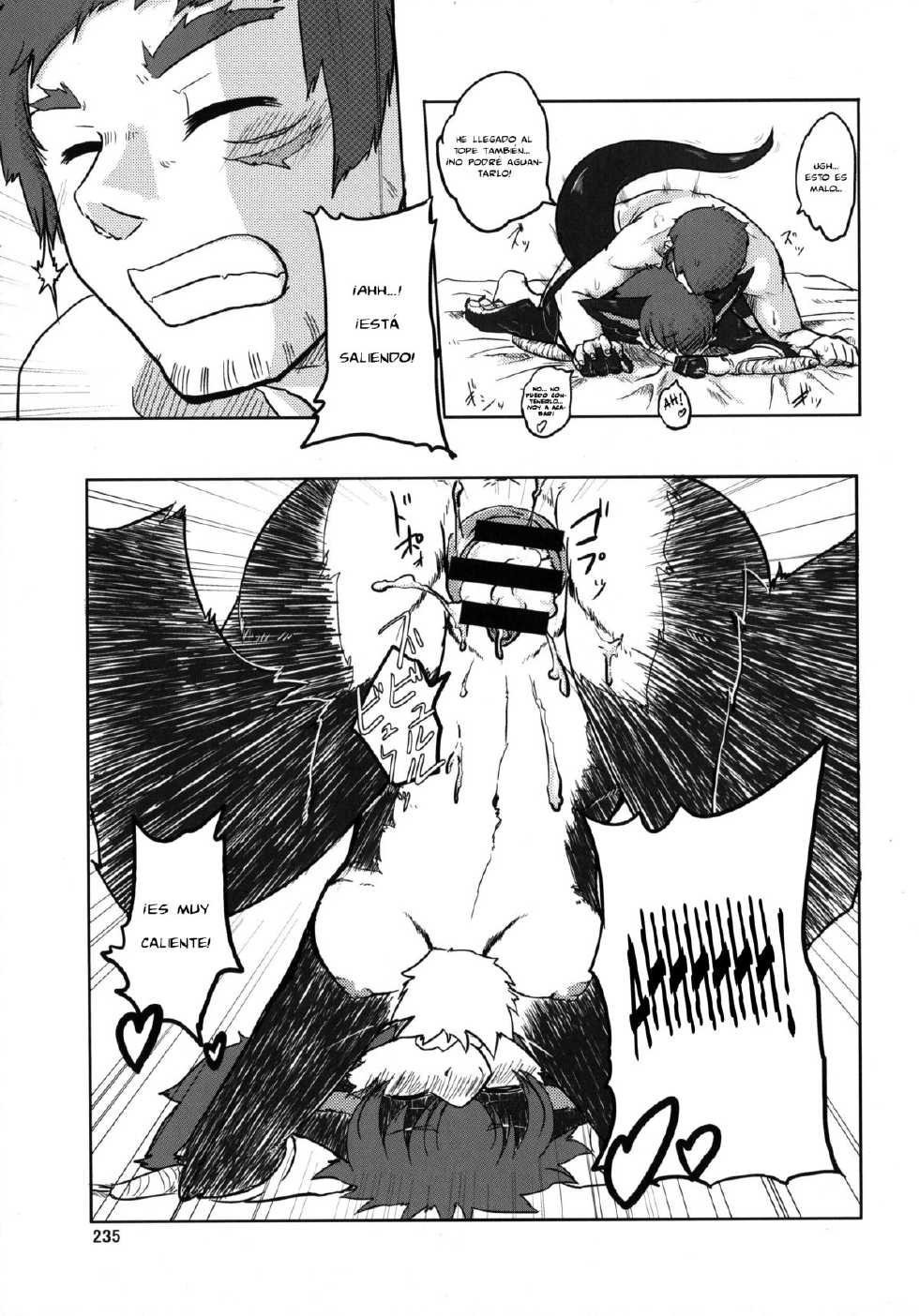 (C80) [TOVIC (Hironosuke)] Dokidoki MonHun Nikki | Dokidoki Monster Hunter Diary (Comic Kemostore 2) [Spanish] [SaHa] - Page 13