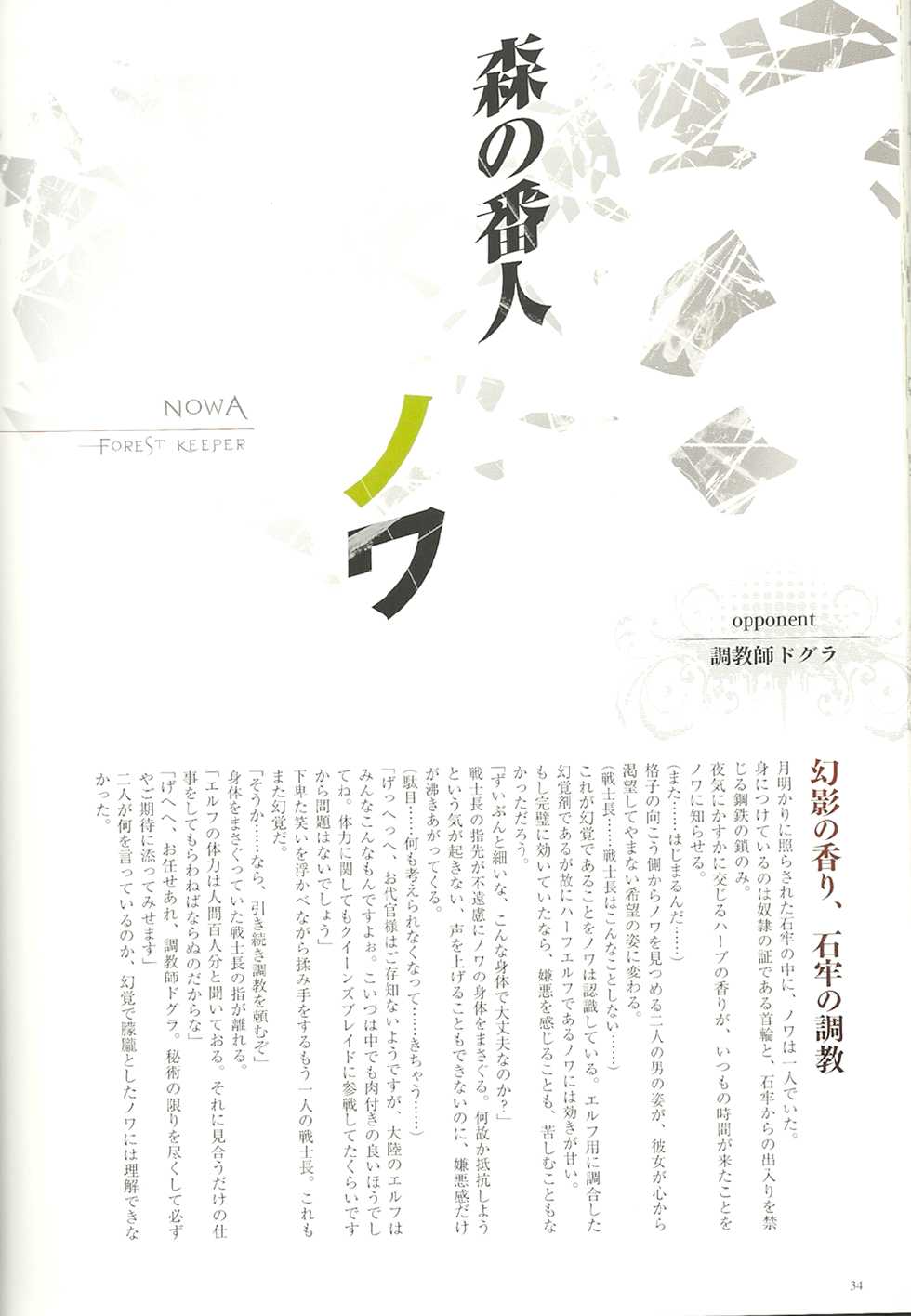 [Hobby JAPAN (Various)] Queen's Blade Kanzen Haiboku Gashuu Vanquished Queens 2 (Queen's Blade) - Page 35