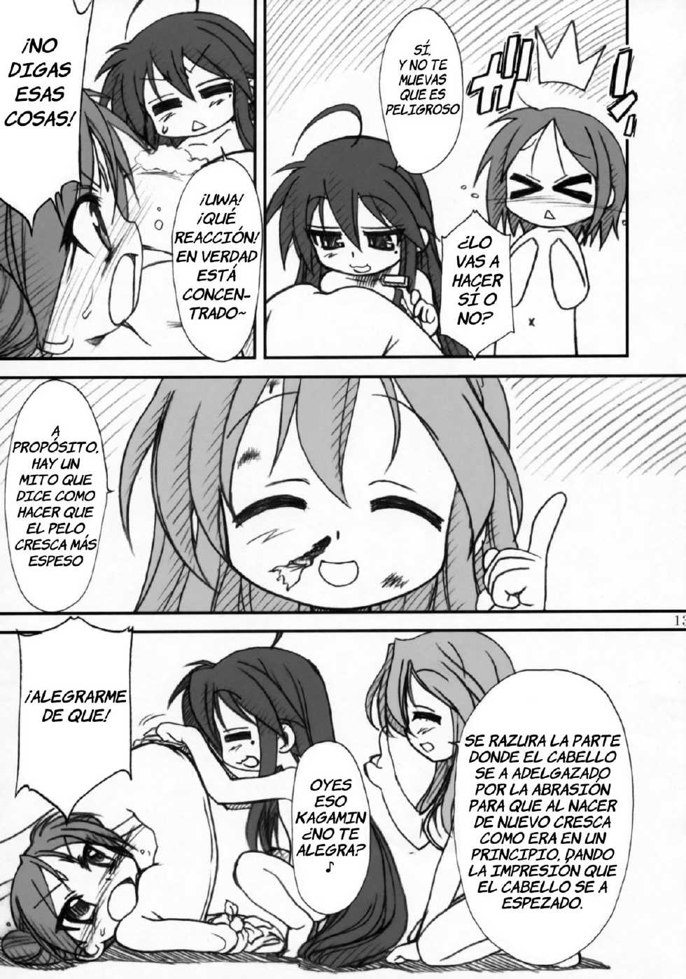 (C72) [MEKONGDELTA, DELTAFORCE (Route39, Zenki)] Kagamin de Asobou!! (Lucky Star) [Spanish] [Kedamono] - Page 12