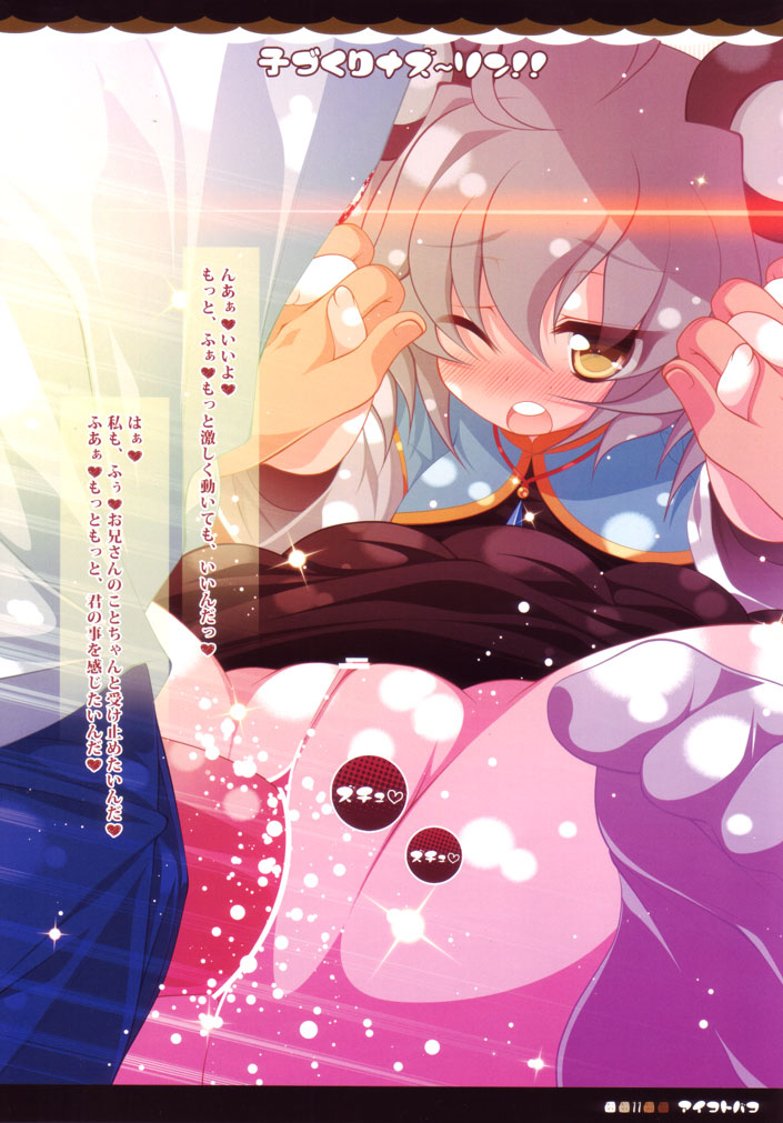 (Reitaisai SP2) [Aikotobako (Goriyaku)] Kozukuri Nazrin!! (Touhou Project) - Page 11
