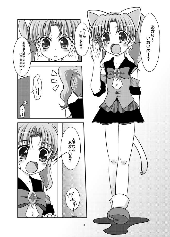 (C79) [Inaridou (Yamino Kohaku)] Dokki Doki! (Jewelpet Twinkle) - Page 4