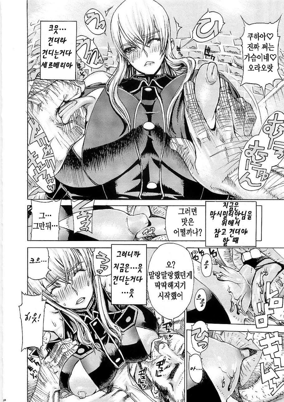 (C79) [Dorepooru (Leopard)] Leopard Hon 16 (Valkyria Chronicles) [Korean] {TRUNKS} - Page 10