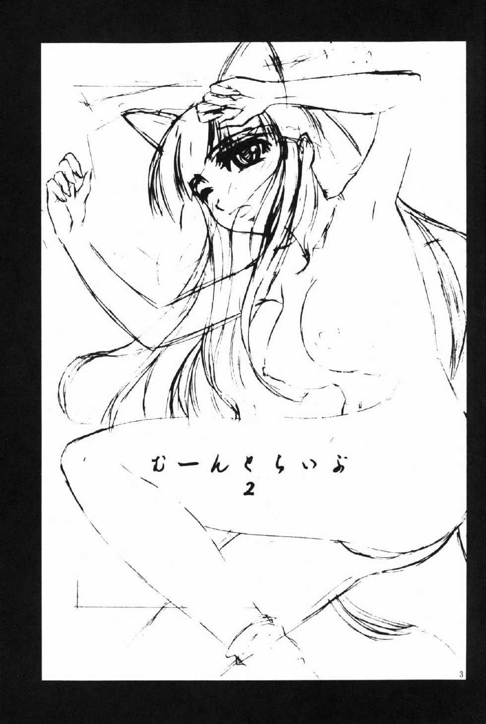 (SC27) [complete box (Ayakawa Hisashi)] moontribe 2 (tsukuyomi moon phase) - Page 3