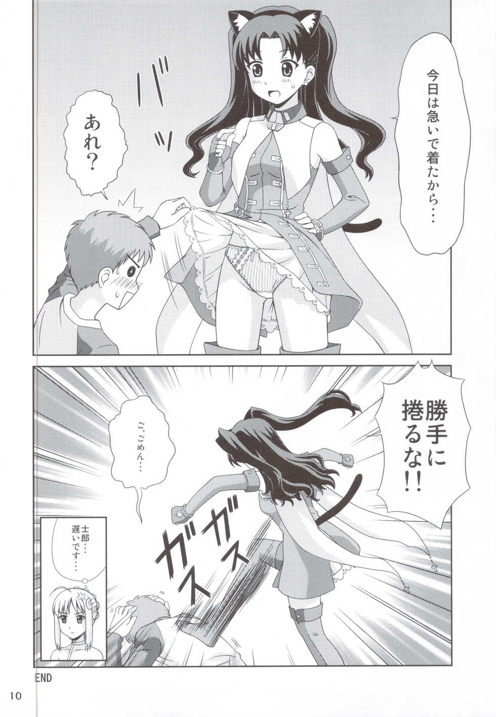 (C82) [PNO Group (Yamamoto Ryuusuke, Hikawa Yuuki, Hase Hiroshi)] Carni Phan tic Factory 2 (Fate/stay night, Fate/zero) - Page 9