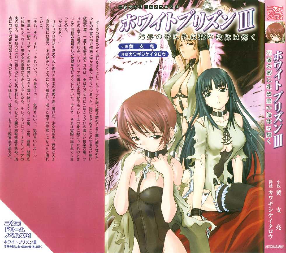 [Kou Siryou, Kawagishi Keitarou] White Prison III - Ojoku no Kage ni Mesu Dorei no Shitai wa Kagayaku - Page 2