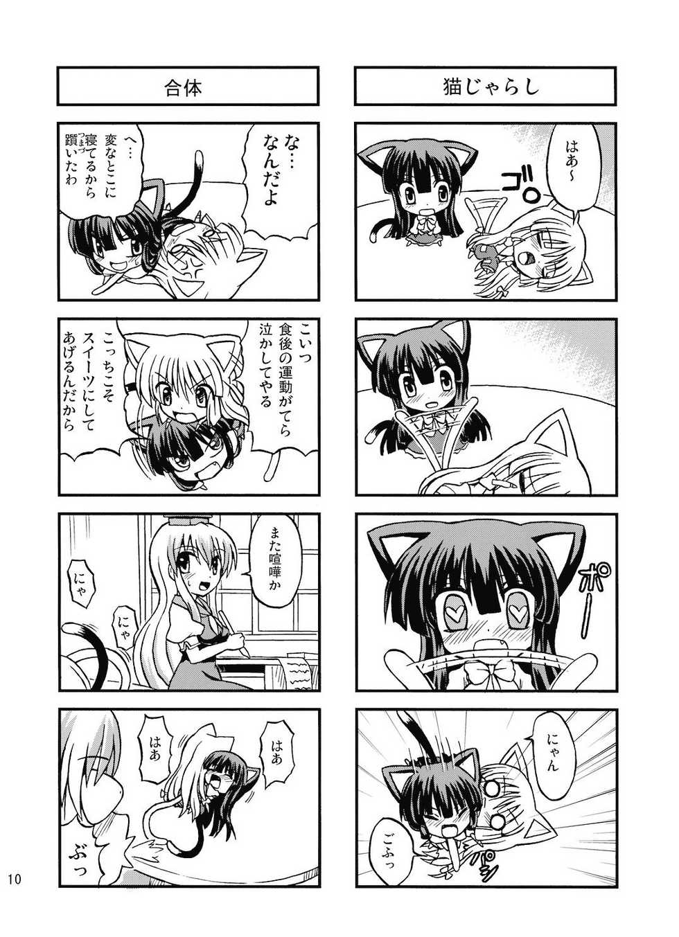 [Takakuya (Takaku Toshihiko)] Touhou Youjo Rambu (Touhou Project) [2008-08-31] - Page 10