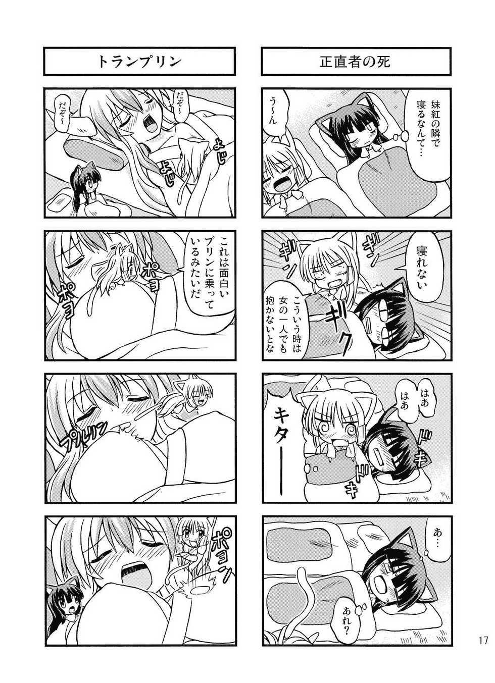 [Takakuya (Takaku Toshihiko)] Touhou Youjo Rambu (Touhou Project) [2008-08-31] - Page 17