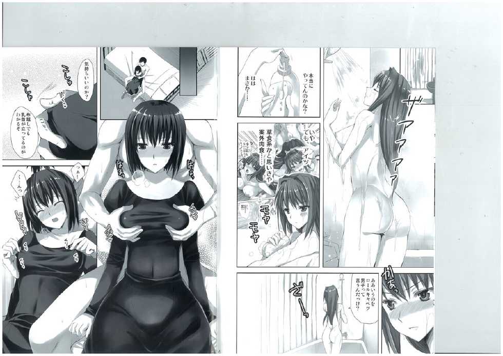 (C83) [Aigamodou (Ayakawa Riku)] Mahou Tsukai no Yotogi 2 (Mahou Tsukai no Yoru) - Page 4