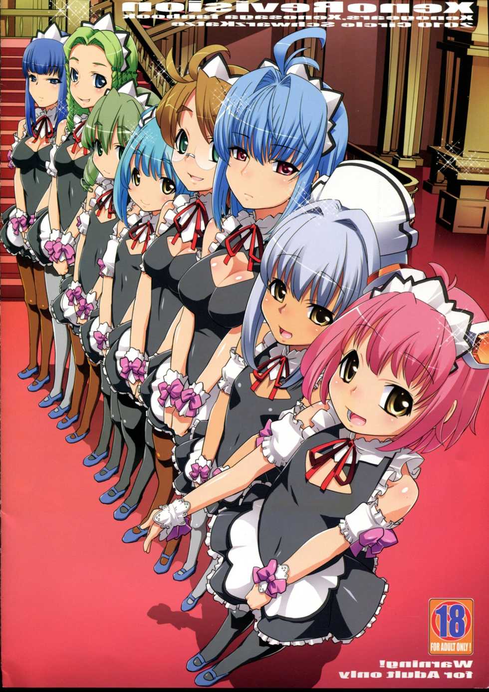 (CSP5) [SchwarzKatze (Miyagoe Yoshitsuki)] XenoRevision (Xenogears, Xenosaga) - Page 8