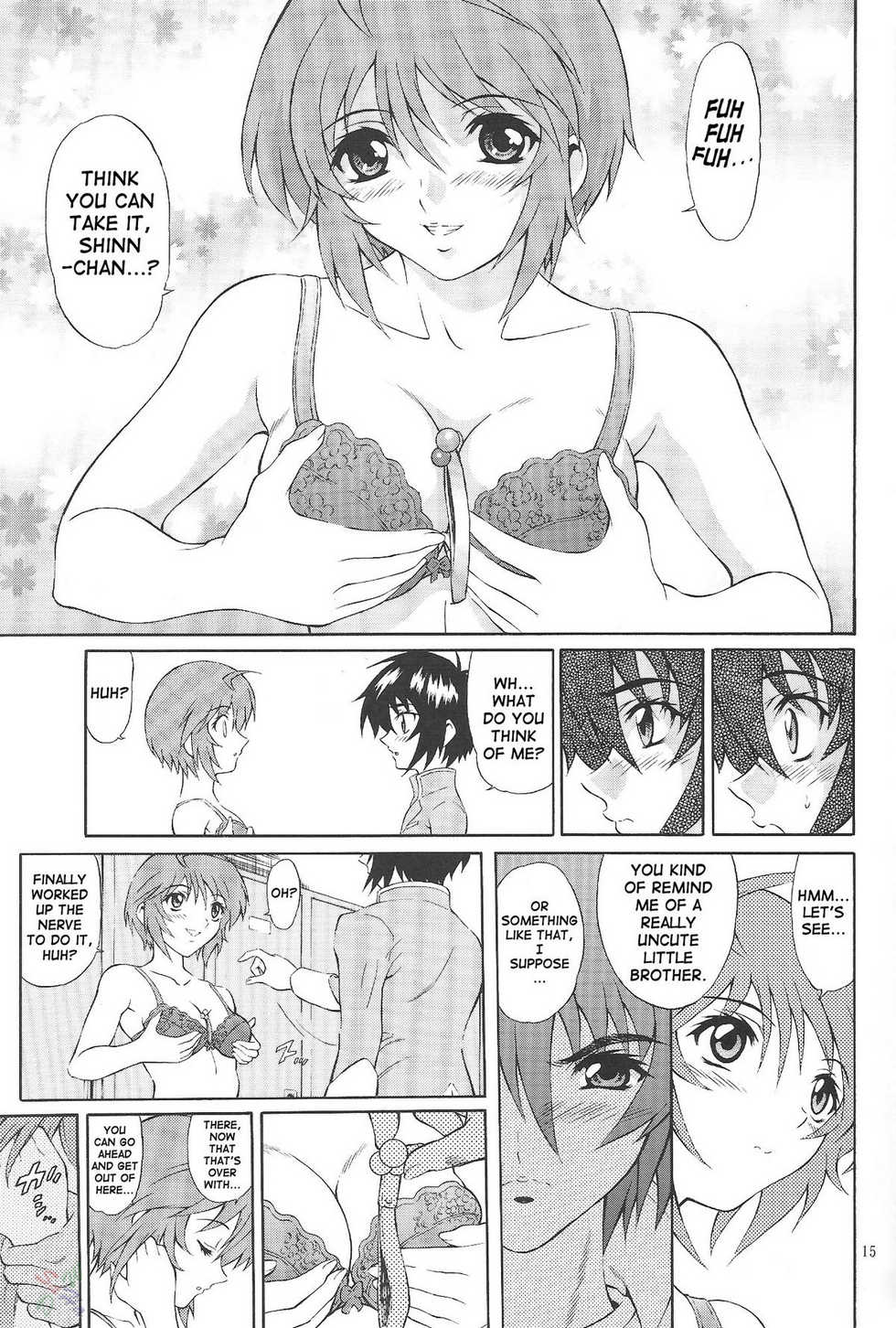 (C68) [GUST (Harukaze Soyogu)] Burning!! 0 (Mobile Suit Gundam SEED DESTINY) [English] [SaHa] - Page 14