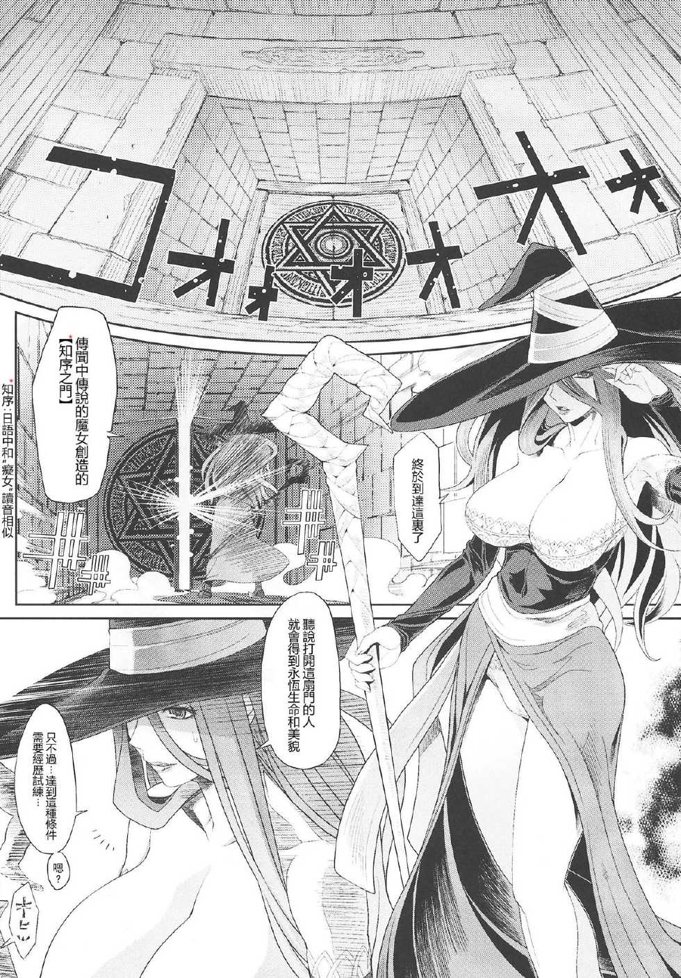 (C80) [Toluene Ittokan (Pierre Norano)] Ketsu! Megaton DC (Dragon's Crown) [Chinese] [里界漢化組] - Page 7