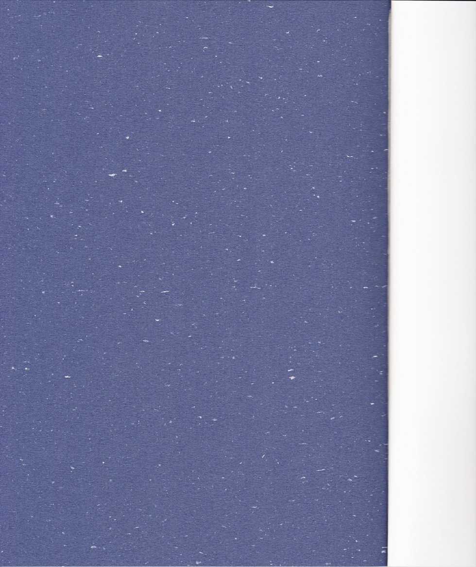 (C83) [Suzunaridou (Izumi Yukiru)] Alice in Nightmare (Touhou Project) - Page 2