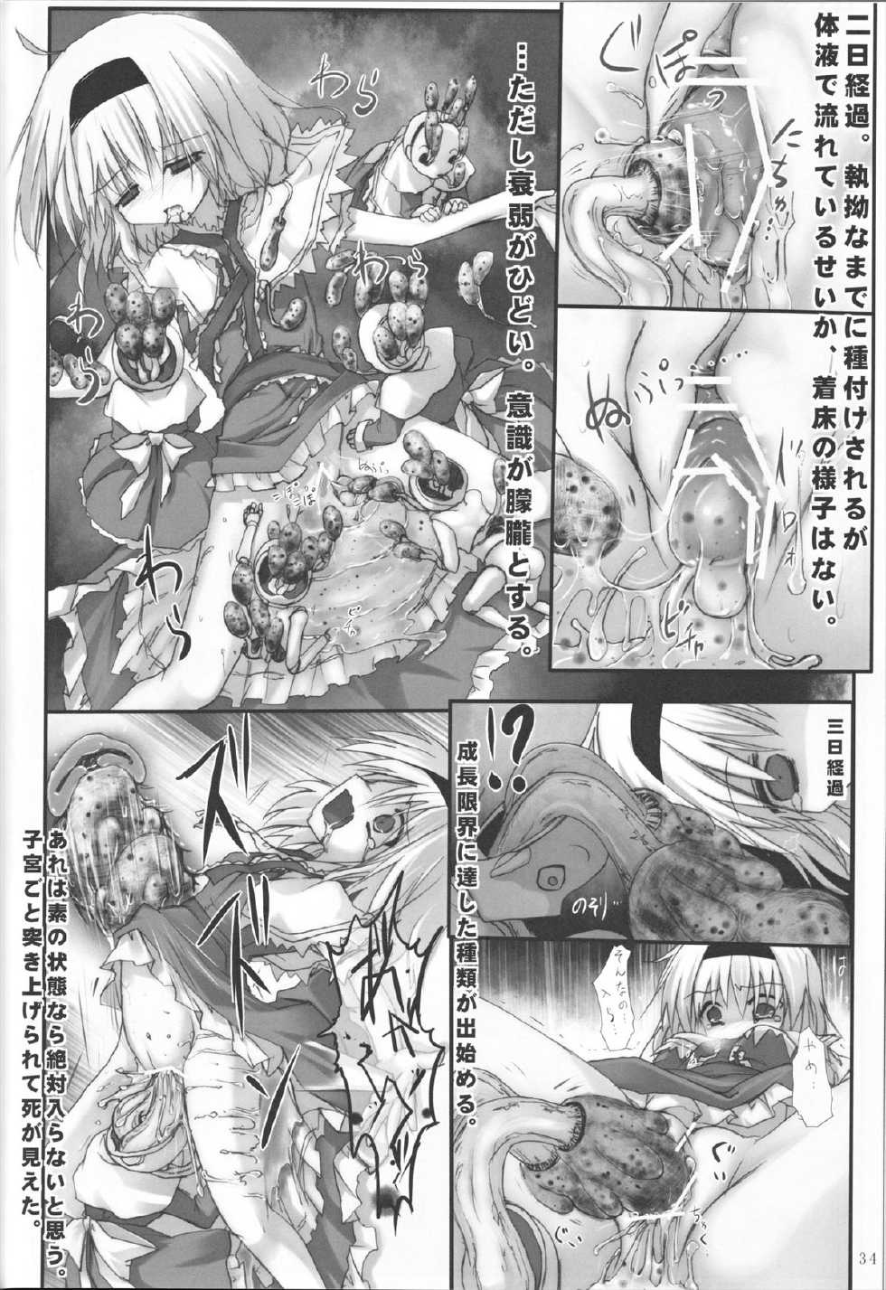 (C83) [Suzunaridou (Izumi Yukiru)] Alice in Nightmare (Touhou Project) - Page 34