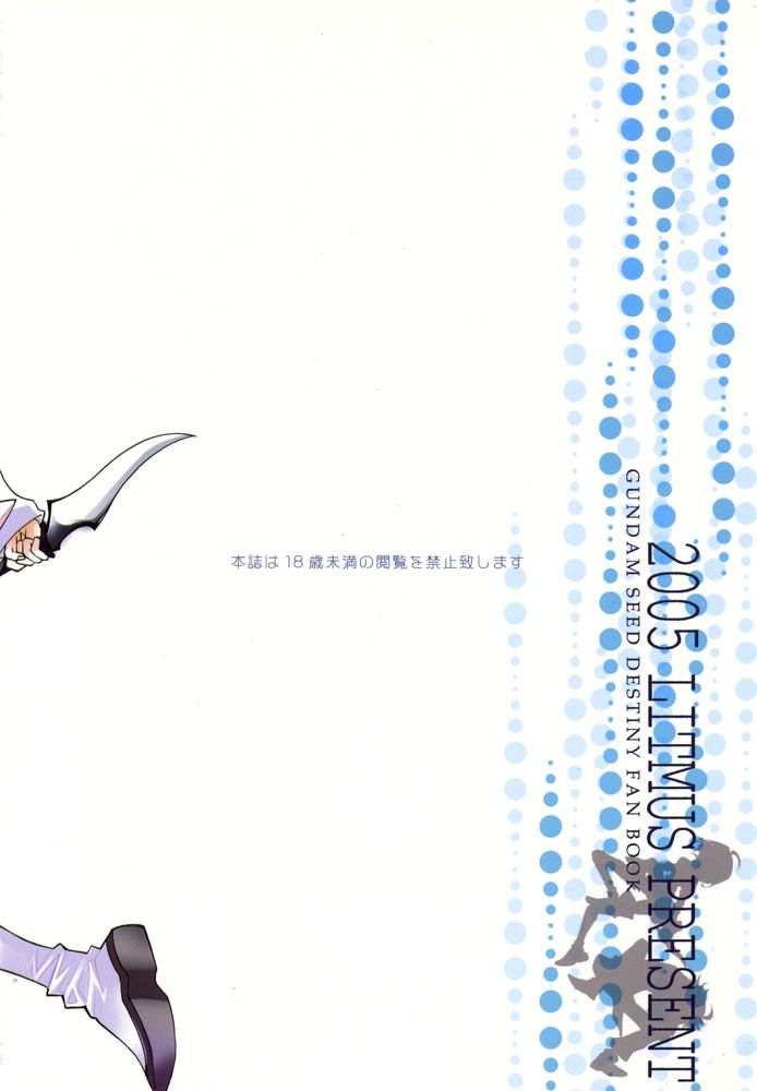 [Ritomasu] Ring (Gundam SEED Destiny) [English] - Page 2