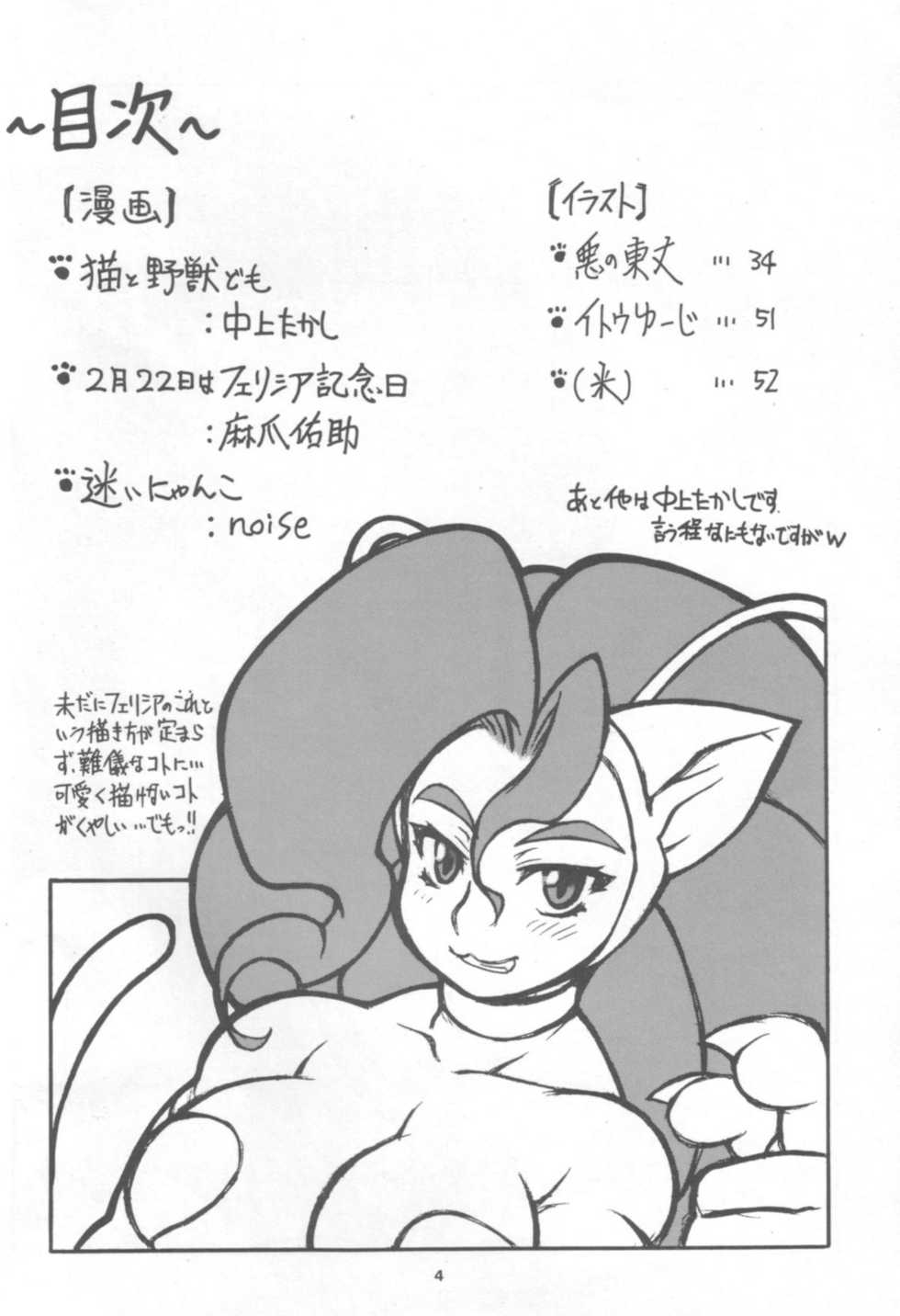(C72) [Mayoineko (Nakagami Takashi)] CAT DANCER (Darkstalkers, Tekken) - Page 3