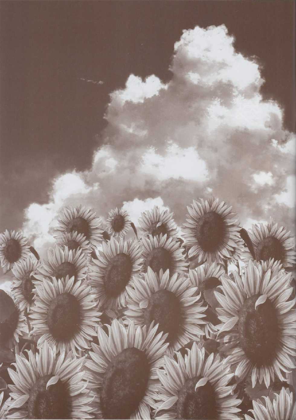 [minori] Natsuzora no Perseus Gouka-ban Omake Sasshi - Page 36