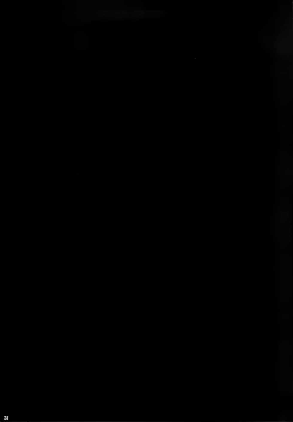 (C83) [Zankirow (Onigirikun)] PILE EDGE CONCEPTION [Beta] (Sword Art Online) [Chinese] [空気系★漢化] - Page 31