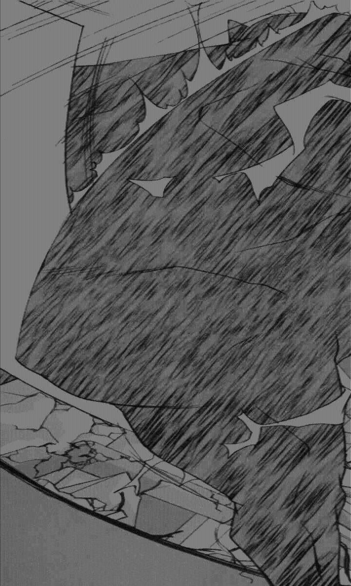 [Kagura Youko × Goma Satoshi] Sacral Ritter Mizuki - Page 4