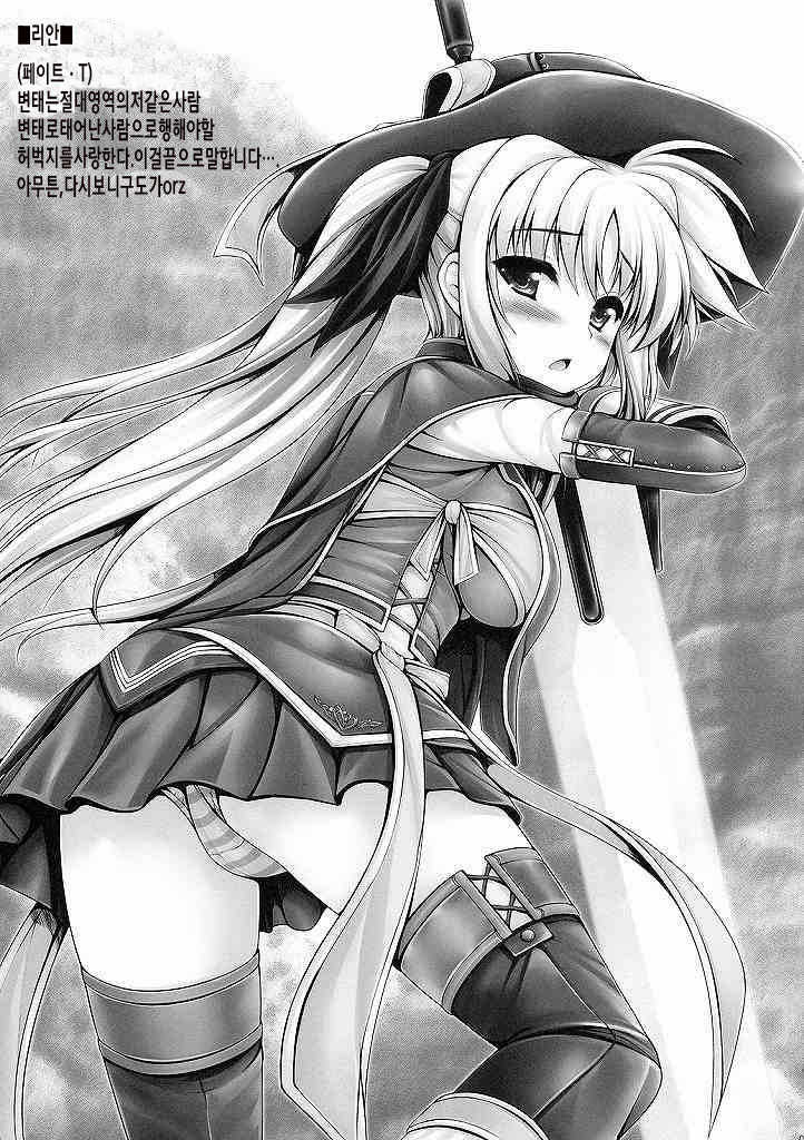 (C77) [Uni no Tane (Ichiru Bou, uni8)] MONSTER HUNTER Lyrical Fate β-Han (Magical Girl Lyrical Nanoha) [Korean] - Page 4