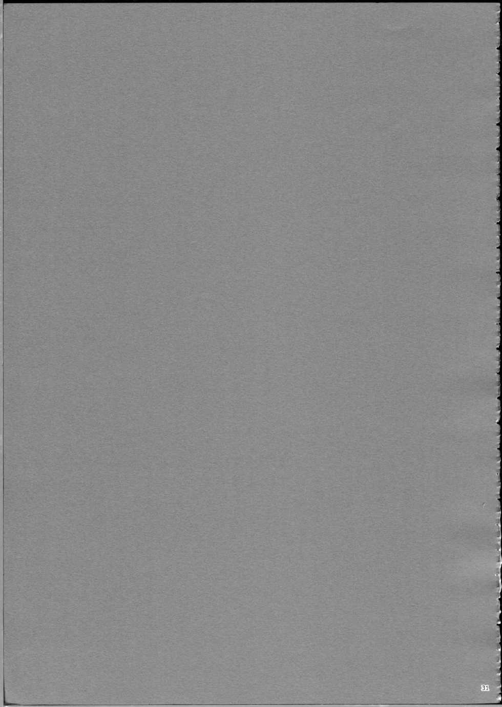 (C80) [r.i.s factory (Ruschuto)] Purple Storm (Infinite Stratos) - Page 30