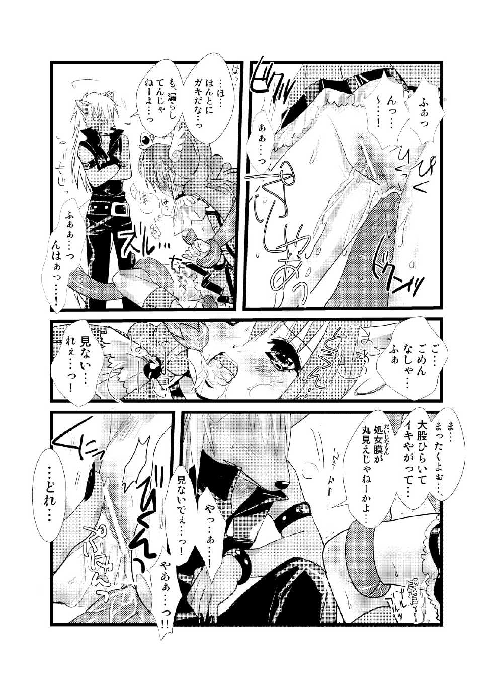[MaSBeYaAKT (MaSBe Akyto)] Happy Secret ～Ookami-san to Watashi no Himitsu～ (Smile Precure!) - Page 14