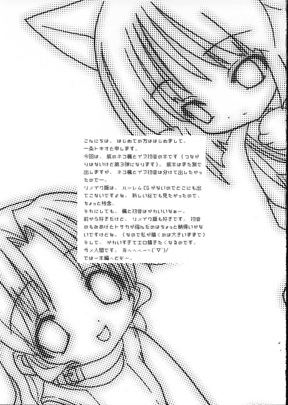 [UCYUNEKOGUNDAN (Ichijyo Tokio)] HELLO AGAIN (Kizuato) - Page 5