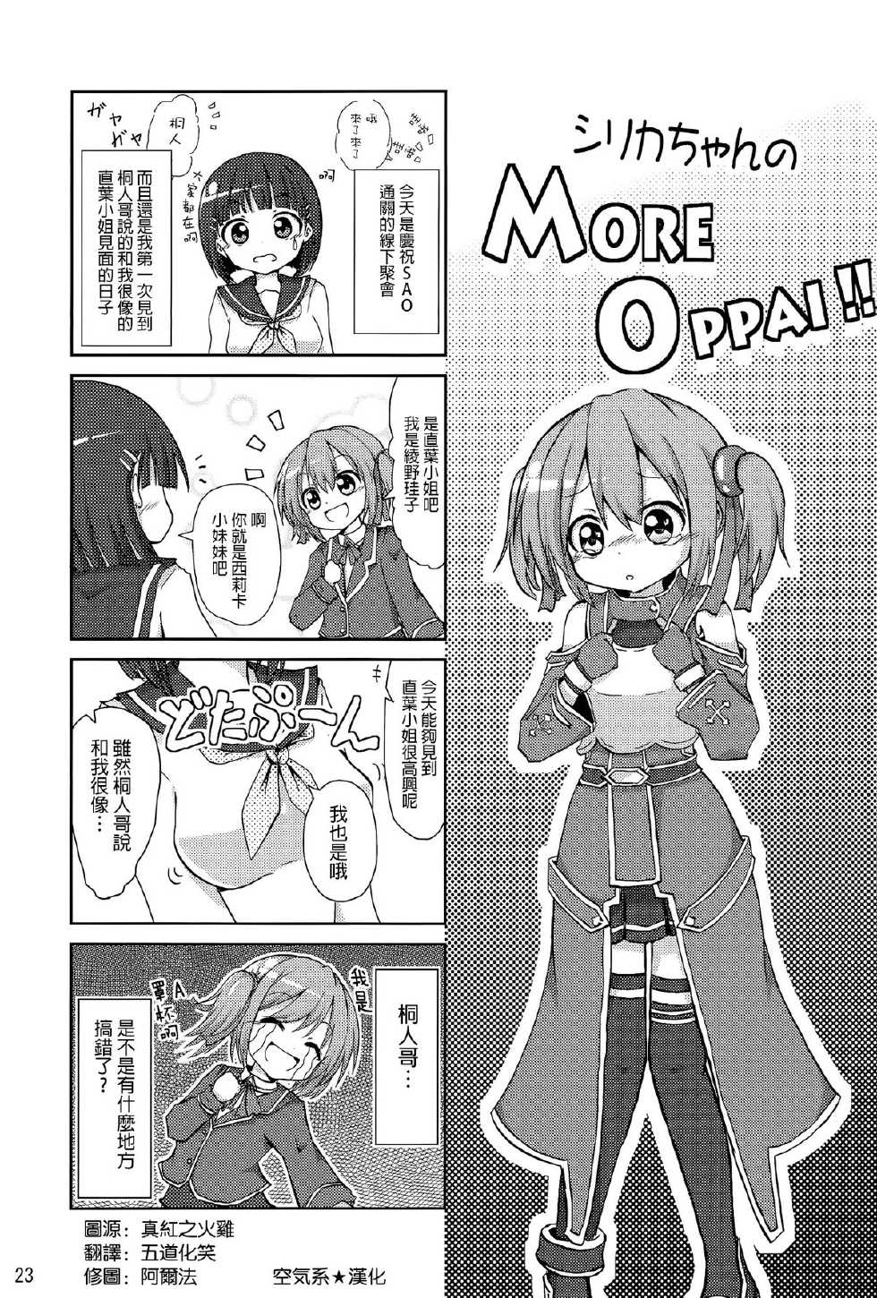 (C83) [Suiteibuin (Akane So-ichi)] Silica chan kawaii β2 (Sword Art Online) [Chinese] [空気系★漢化] - Page 23