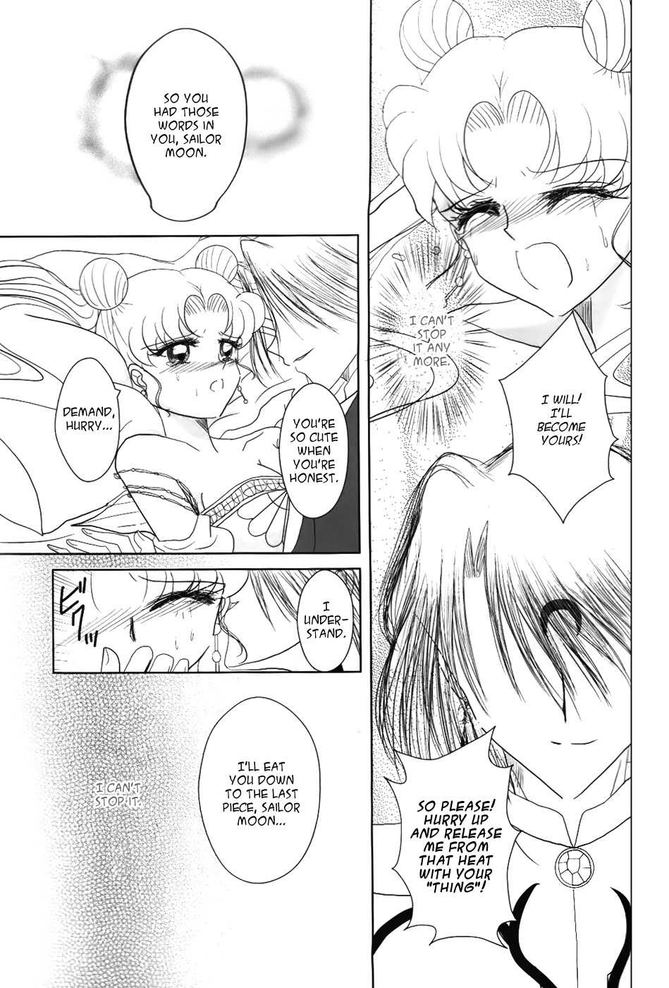 (C82) [MoE (Eiri)] Kuroi Tsuki ni Michibikare (Bishoujo Senshi Sailor Moon) [English] [Viredae] - Page 17