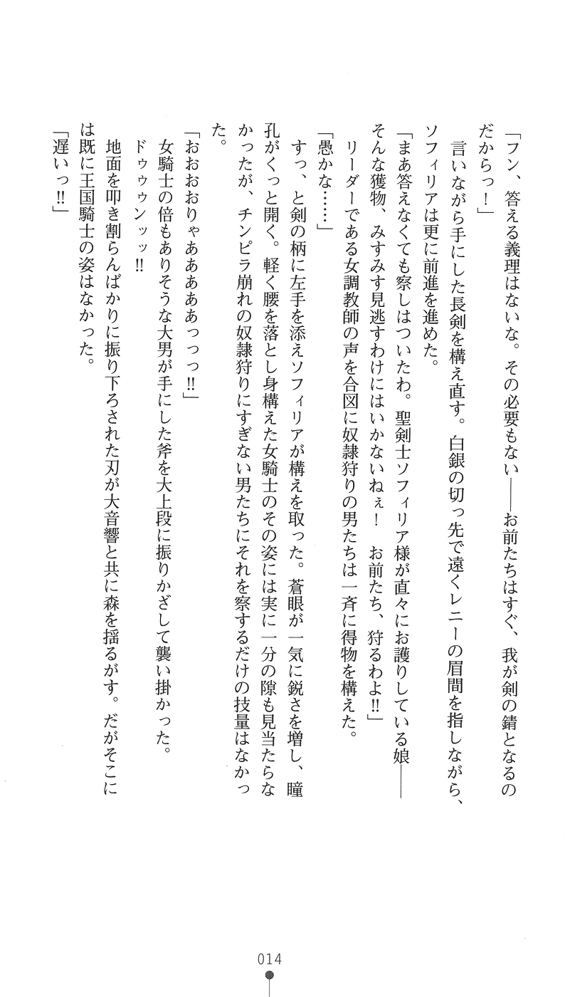 [Mai Reiji × Kannatsuki Noboru] Sei Kenshi Sophyria Etsuraku no Choukyou Jubaku | Sacred Swordswoman Sophyria: Training Under the Spell of Pleasure - Page 29