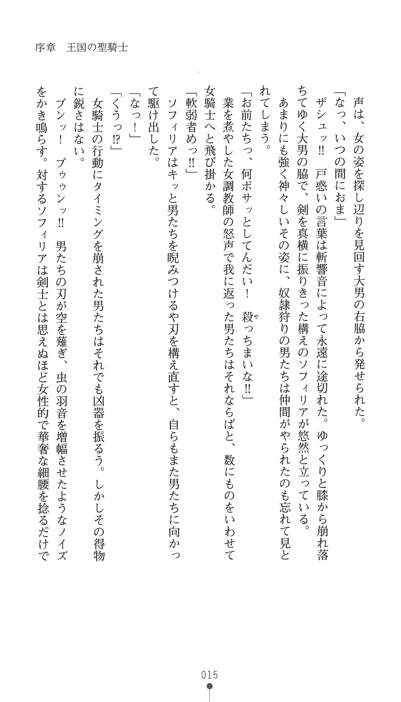 [Mai Reiji × Kannatsuki Noboru] Sei Kenshi Sophyria Etsuraku no Choukyou Jubaku | Sacred Swordswoman Sophyria: Training Under the Spell of Pleasure - Page 30