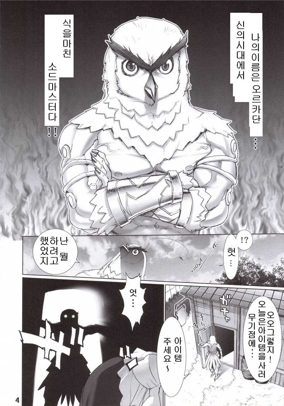 (SC30) [DIGITAL ACCEL WORKS (INAZUMA.)] FIREBIRD (SOULCALIBUR) [Korean] - Page 3