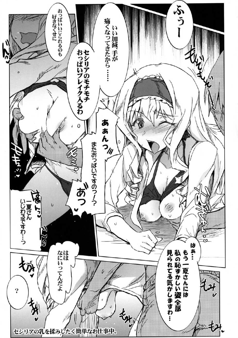 [RIBI Dou (Higata Akatsuki)] IS Girls 2 (IS <Infinite Stratos>) [Digital] - Page 9