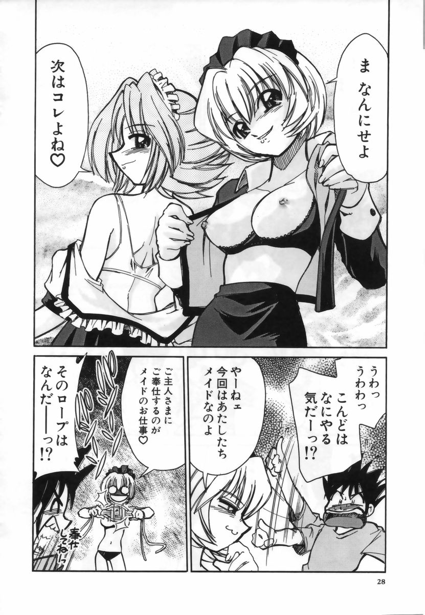 [Mizuki Hitoshi] Ochuusha Shimasho - Page 29
